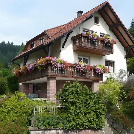 Haus Herbert Panter บาด ปีเตอร์สตัล กรีสบาค ภายนอก รูปภาพ
