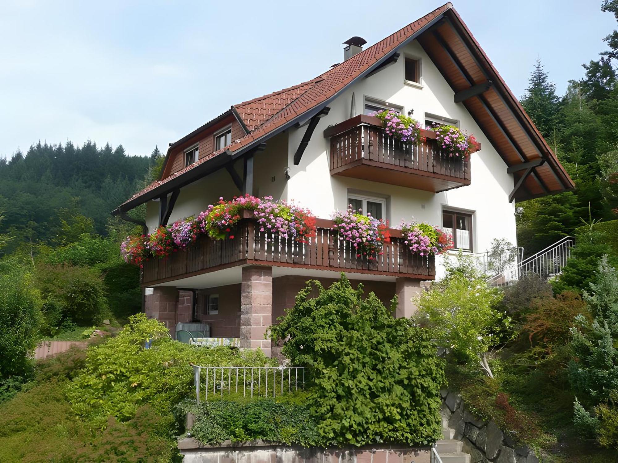 Haus Herbert Panter บาด ปีเตอร์สตัล กรีสบาค ภายนอก รูปภาพ