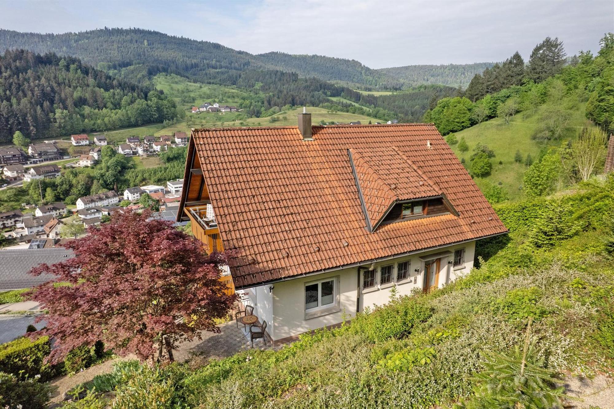 Haus Herbert Panter บาด ปีเตอร์สตัล กรีสบาค ภายนอก รูปภาพ